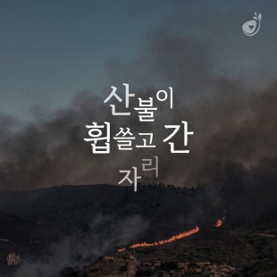 산불이 휩쓸고 간 자리