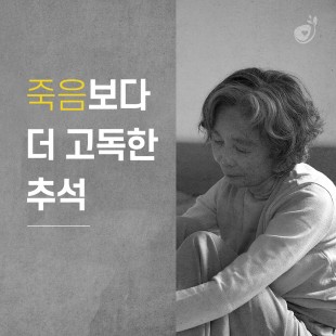 국내 기부단체 희망조약돌, …