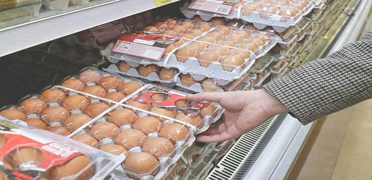 국내 빈곤가정 지원사업